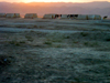 Northern Alliance Camp at Sunset